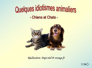 idiotismes_chiens_chats_papiniel