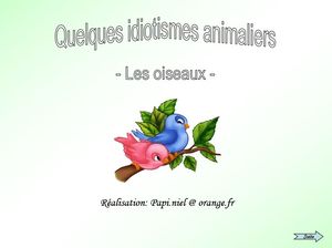 idiotismes_oiseaux_papiniel