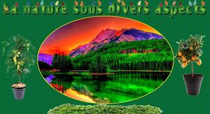 la_nature_sous_divers_aspects_maumau