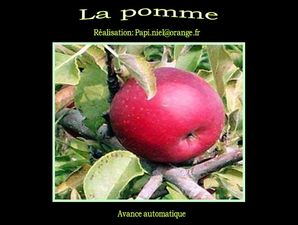 la_pomme_papiniel