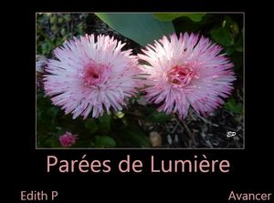 parees_de_lumiere_edith_p