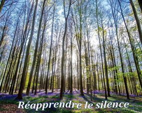 reapprendre_le_silence_reginald_day
