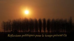 reflexions_politiques_pour_le_temps_present_5_reginald_day