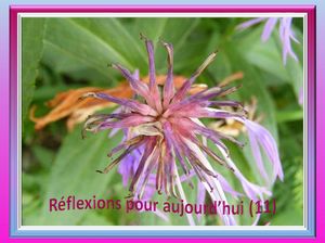 reflexions_pour_aujourd_hui_11_reginald_day