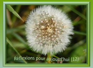 reflexions_pour_aujourd_hui_12_reginald_day