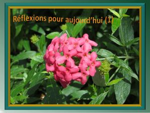 reflexions_pour_aujourd_hui_1_reginald_day