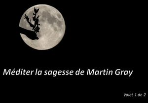 sagesse_de_martin_gray_1_reginald_day