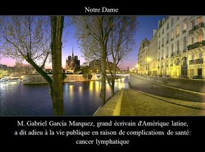 un_genie_dit_au_revoir