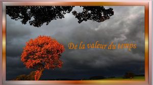 valeur_du_temps_reginald_day