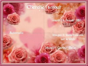 cherche_l_amour