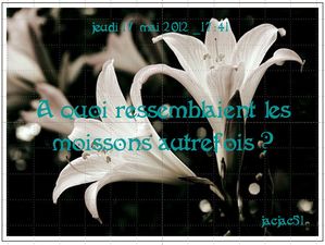 a_quoi_ressemblaient_les_moissons_autrefois