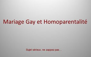 homoparentalite