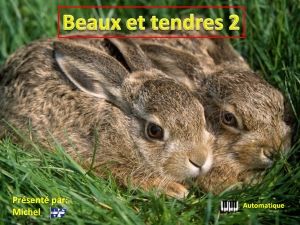 beaux_et_tendres_2_michel