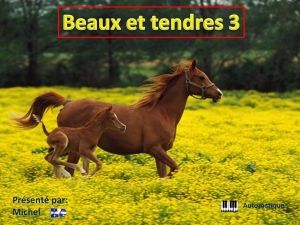 beaux_et_tendres_3_michel