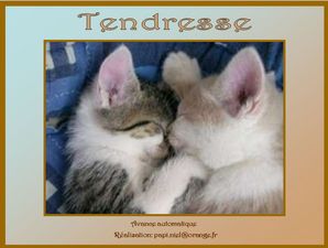 tendresse_papiniel